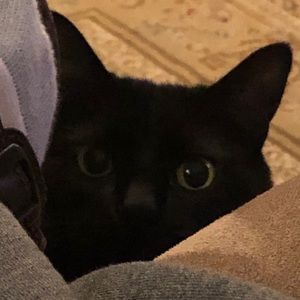 Meet your Posher, Jeff